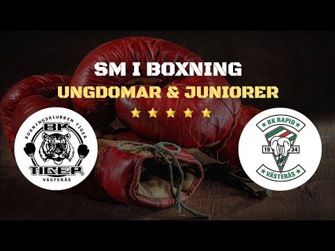 USM/JSM 2017 Dag 2