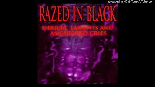 Razed In Black ‎– Cyberium  [ᴏɴ ꜱᴘᴇᴇᴅ]