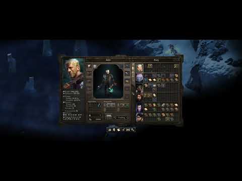 Pillars Of Eternity #101 - Walktrough - White March part 2 #5