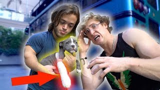 EVAN'S DOG BROKE HER LEG! (sad)