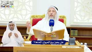552 - هل يجوز بيع الحيوان المُحنّط؟ - عثمان الخميس