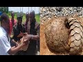 Kakakuona Aonekana Na Kutabiri Neema Ya Chakula Wilayani Mvomero Mkoani Morogoro