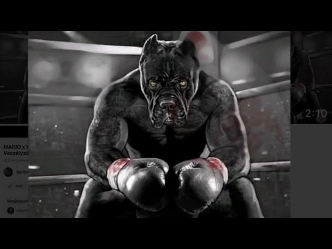 MARIO x KRETZ x BARBOSU Veszélyzónában