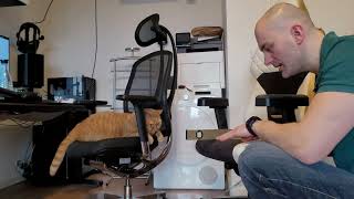 Meine Kritik am Backforce One Plus