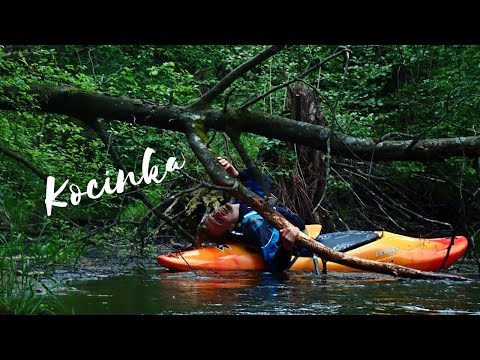 KOCINKA - 100% pure nature