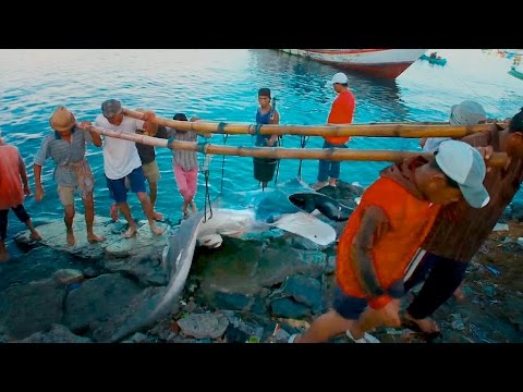 If We Don't Care, Nobody Will | Racing Extinction