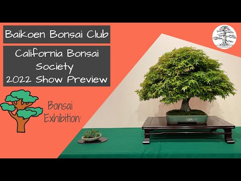 California Bonsai Society (CBS) 2022 Show Preview - Baikoen Bonsai Club - Safer @ Home Bonsai Series