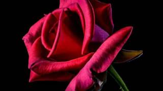 Susan Ashton - Waiting For Your Love To Come Down