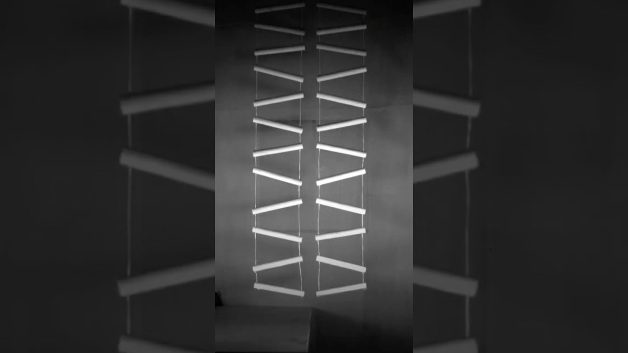 ハシゴの運動について。