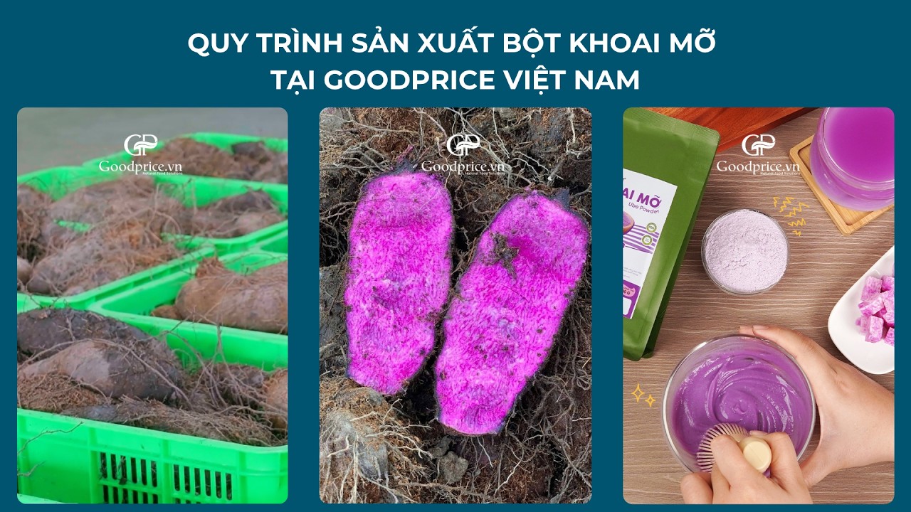 Goodprice Vietnam Ube Powder Production Process