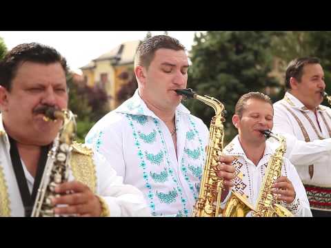 DAN NISTOR 2015-PUNE-TI O RACHIE