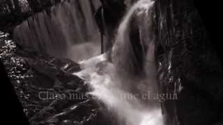 india martinez los gatos no ladran