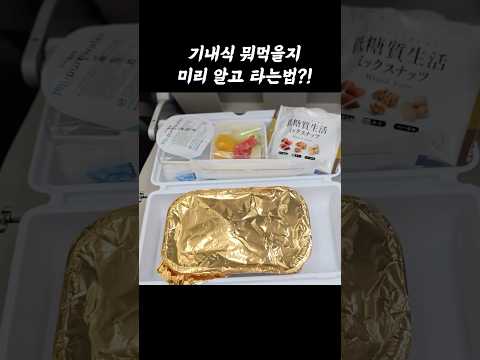 대한항공 기네식 메뉴와 선택 꿀팁