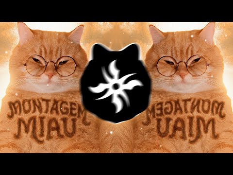 Lenar - MONTAGEM MIAU