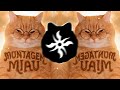 Lenar MONTAGEM MIAU