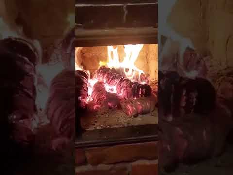 Брикеты дубовые - фото 1 - id-p2881660004