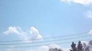 * Fadeout *          The winner is - little miss sunshine