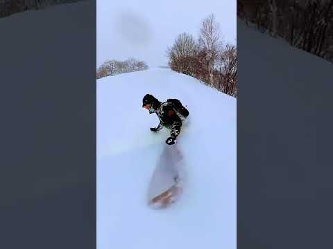 Riding powder snow in Hakuba Japan 2022!