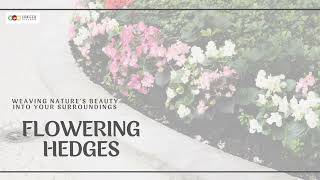 A Symphony of Blooms: Elevating Your Landscape with Flowering Hedges