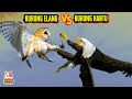 Siapakah Raja Udara Sebenarnya ELANG VS BURUNG HANTU Ayo Tebak Siapa Yang Bakal Menang