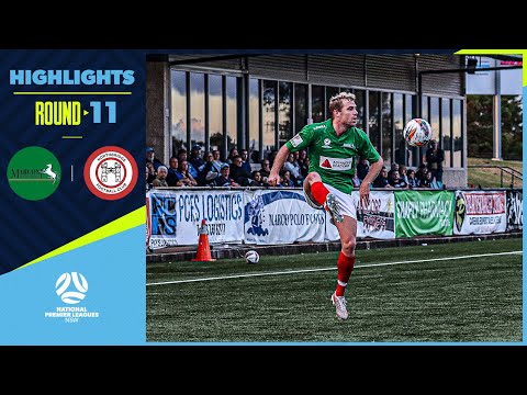 NPL NSW Men's Round 11 –Marconi Stallions v Northbridge Bulls