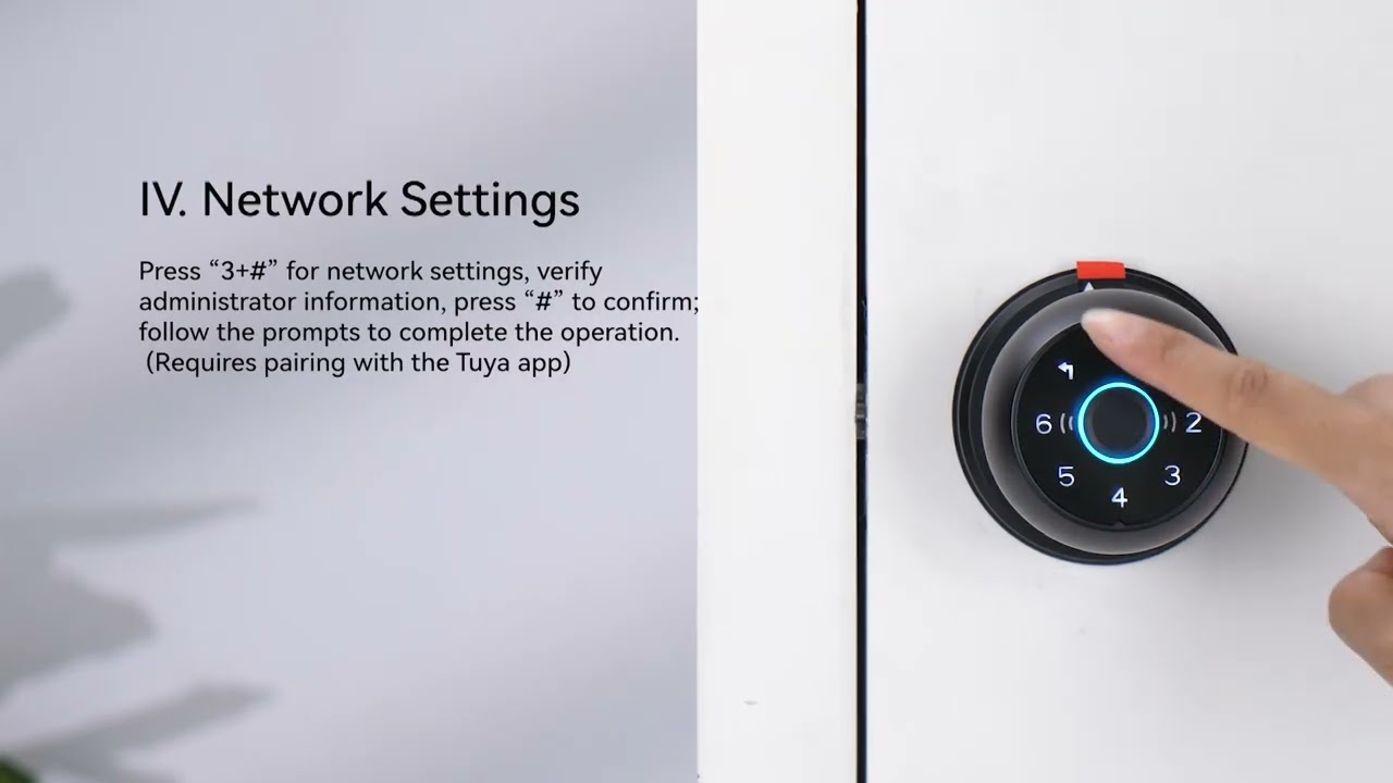 Q2-Standalone Version Setup Guide