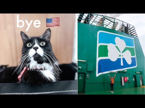 Flying solo to Dublin, Ireland (with a cat in cabin) | Delta