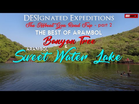 The Best of Arambol | Sweet Water Lake & Banyan Tree | The Offbeat Goa Roadtrip - pt 2 | DESIgnition