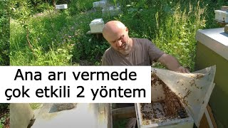 Ana arı vermede çok etkili 2 yöntem - Ana arı üretim videoları 7. Bölü