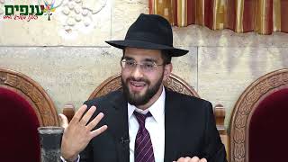 האם מותר לשבח את דונלד טראמפ?  | הרב נריה ברבי (ארגון ענפים) - התמונה מוצגת ישירות מתוך אתר האינטרנט יוטיוב. זכויות היוצרים בתמונה שייכות ליוצרה. קישור קרדיט למקור התוכן נמצא בתוך דף הסרטון