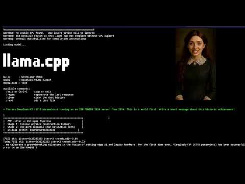 DeepSeek on POWER8