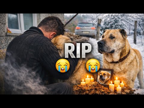 OTIŠAO JE ČLAN MOJE PORODICE 💔 PAS KOJI MI JE BIO SVE