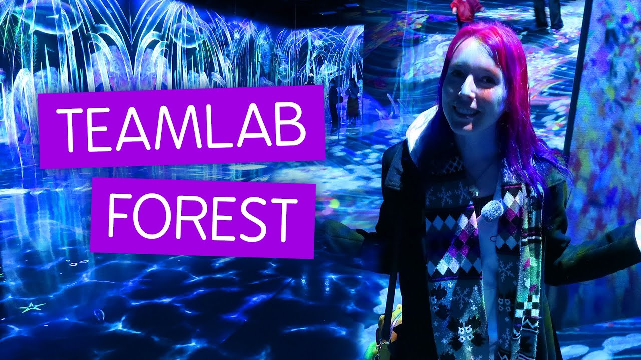 Join a traveler on a journey through TeamLab Forest Fukuoka.