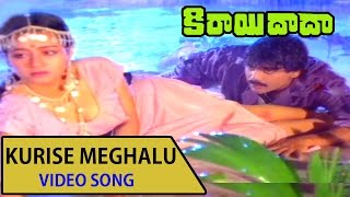 Kurise Meghalu Video Song || Kirai Dada Telugu Movie || Nagrjuna,Amala,Krishnam Raju,Jaya sudha