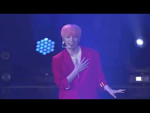 [IDEAL CUT] 세븐틴 아이디얼컷 스위밍풀  seventeen swimming pool