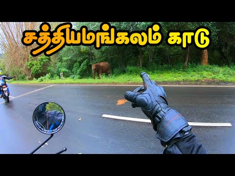 Dangerous Dhimbam Ghat Road / Wild Animals Spotted / Ft Royal Enfield