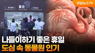 나들이하기 좋은 휴일…도심 속 동물원 인기 / 연합뉴스TV (YonhapnewsTV)