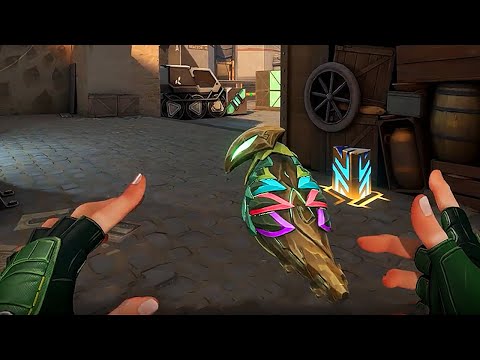 Did you know about THIS secret Skye Buff in Valorant? 🦜