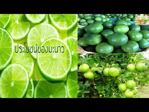 Velafaks และความแข็งแรง กับสิ่งที่ผู้เชี่ยวชาญเพื่อแก้ไขความอ่อนแอ