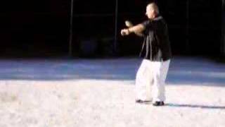 Bung Bo - Tai Mantis variation