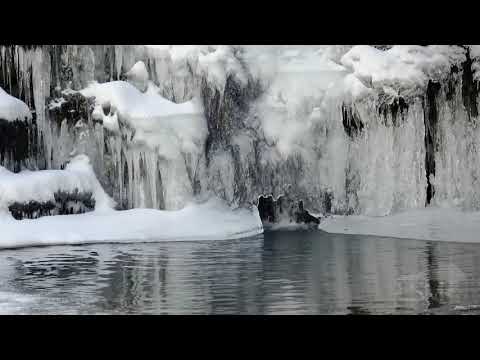 02-20-2021 Newton County, AR Historic cold temps cause waterfalls to freeze.