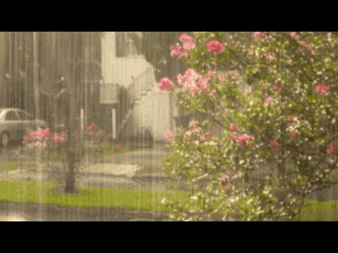 Джанки Джин - Любовь (Djanki Djin - Lyubov)