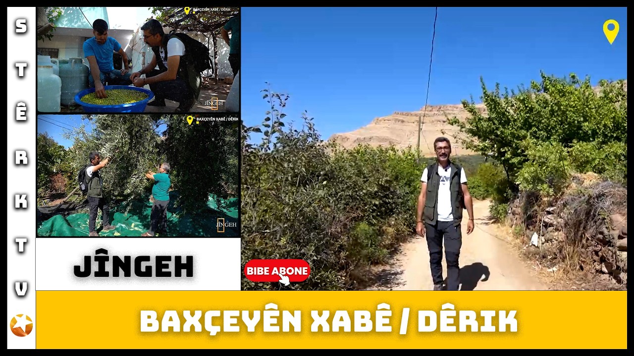 Jîngeh - Baxçeyên Xabê / Dêrik