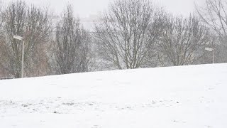 Fehérbe borult a Városliget (is)