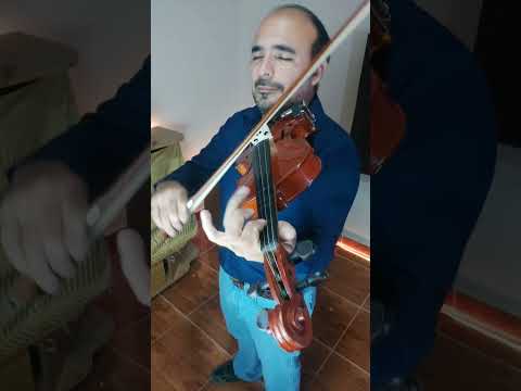 La 7 de Abril,  zamba argentina.  Hermoso tema para tocar en violin instrumental