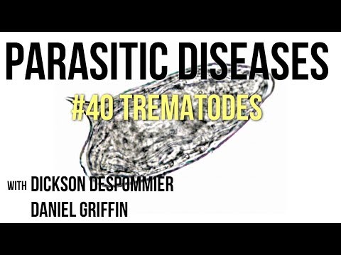 trematode paraziták