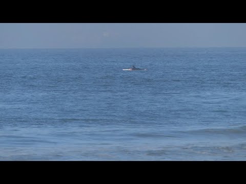 Huntington Beach, CA, 1/25/2021 AM - Part 2