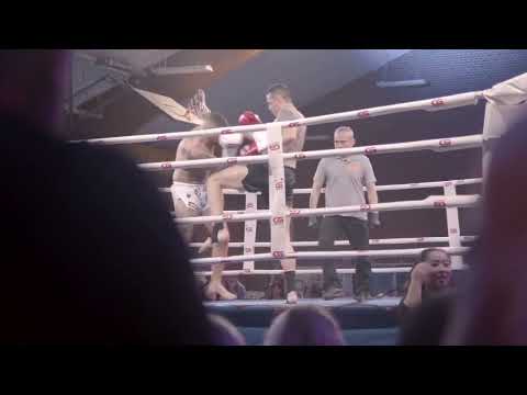 honour of the ring highlights