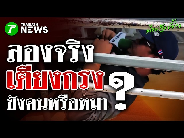 ลองจริงเจ็บจริง! นักข่าวไทยรัฐมุดขัง 'เตียงกรง' ศูนย์ป้าแมว | 7 ต.ค. 69 | ไทยรัฐขยี้ข่าว
