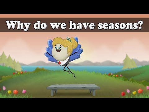なぜ季節があるのか？| ω・｀）｜ #aumsumum (Why do we have seasons? | #aumsum)